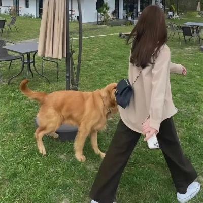 戏子人生